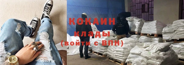 ПСИЛОЦИБИНОВЫЕ ГРИБЫ Алзамай