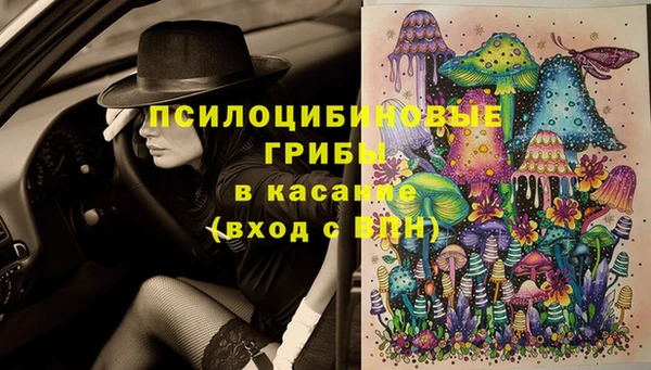 ПСИЛОЦИБИНОВЫЕ ГРИБЫ Алзамай