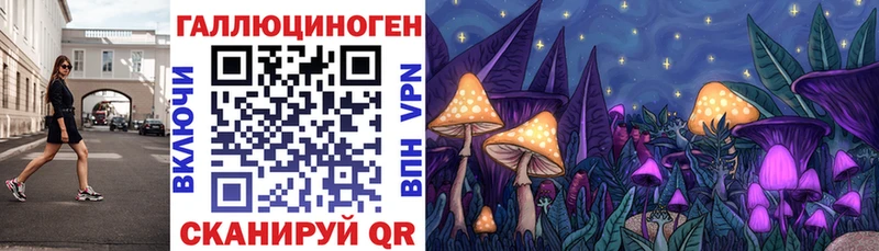 даркнет клад  как найти закладки  Зарайск  Галлюциногенные грибы Magic Shrooms 